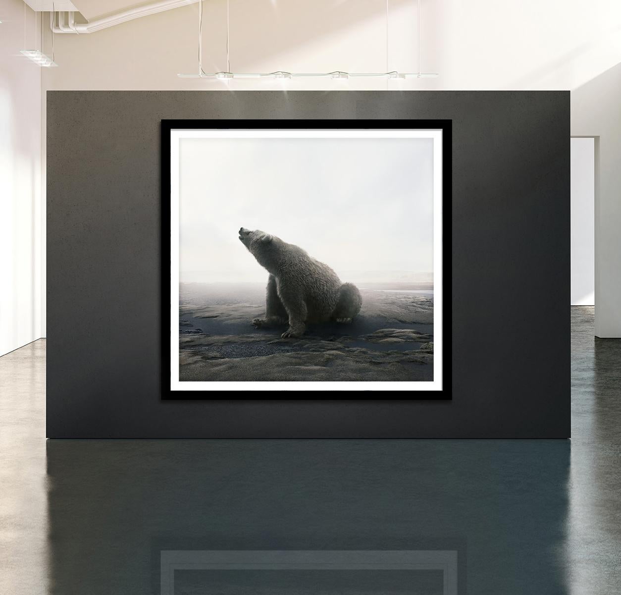 Bear With It - Gray Black and White Photograph by Alice Zilberberg