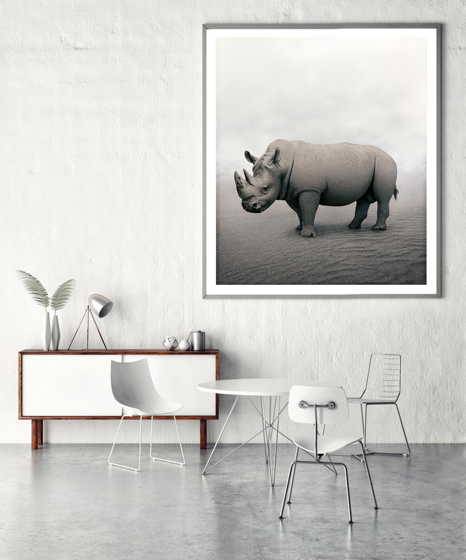 Relax Rhino - Photograph by Alice Zilberberg