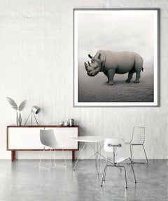 Relax Rhino