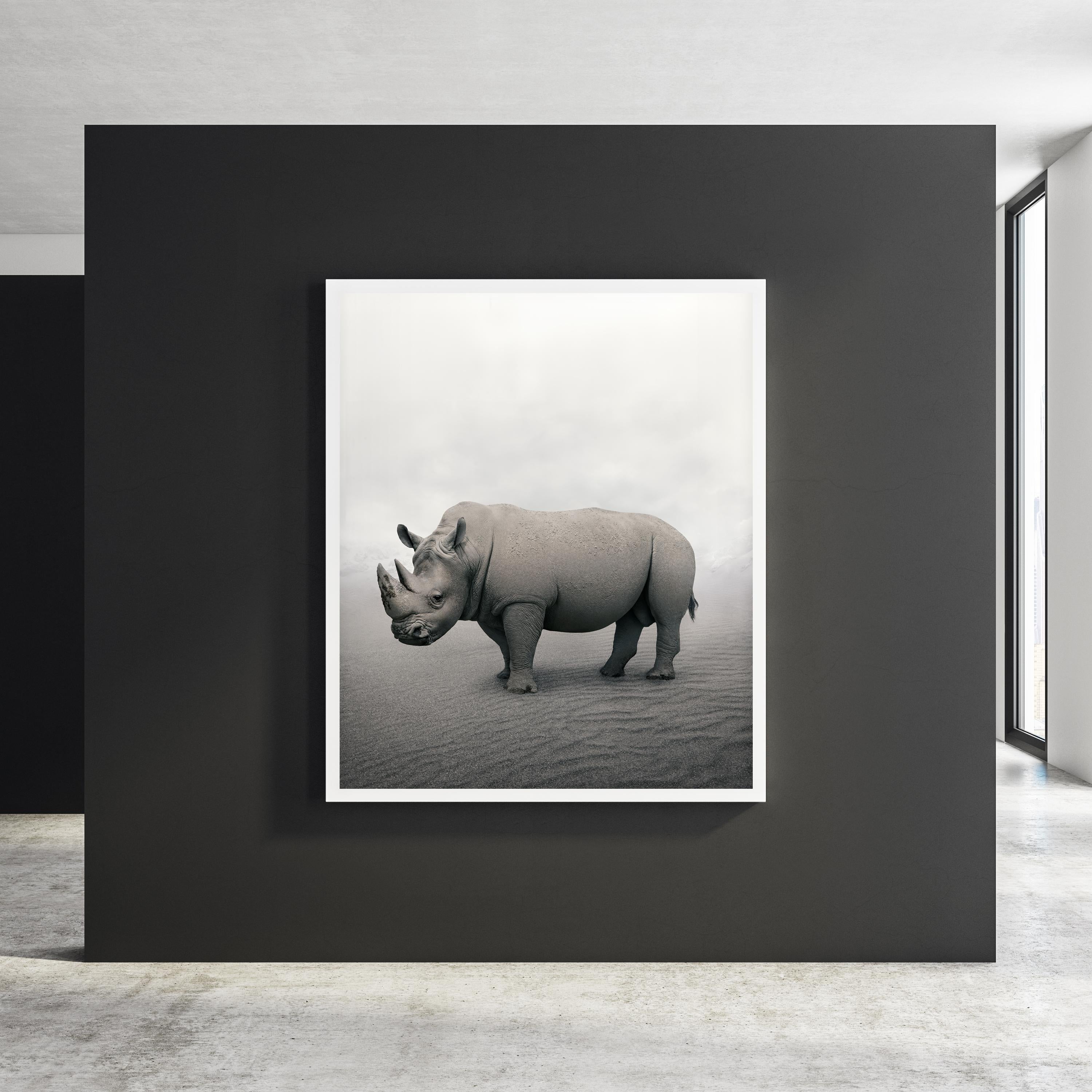 Relax Rhino - Gray Black and White Photograph by Alice Zilberberg