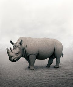 Relax Rhino