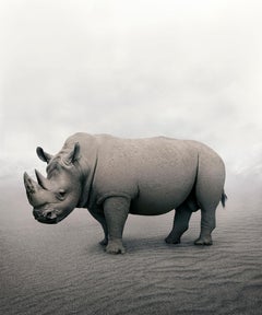 Rhino - Resteux Rhino