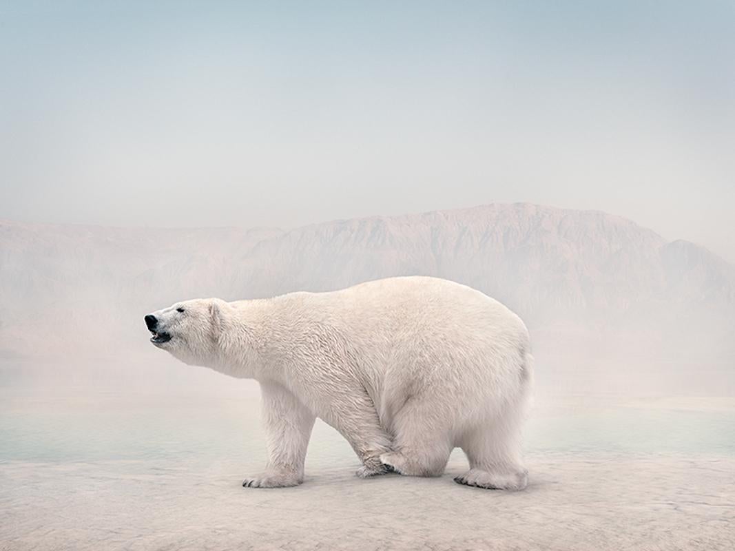 L
ours Be There
Série : Méditations
Peinture à base de photos sur Canson Infinity Rag Photographique

Tailles disponibles :
21"x28"	$2,500.00    Edition de 15
30 "x40"	$4,000.00    Edition de 12
40"x53"	$6,000.00     Edition de 10
60 "x80"	$9,000.00