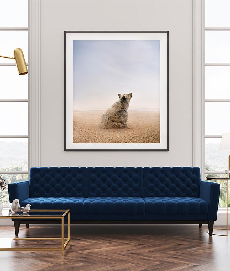 Alice Zilberberg - Being Here Bear, Photography 2024, Printed After For Sale 1