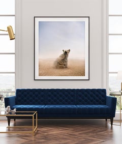 Alice Zilberberg - Being Here Bear, Photography 2024, Printed After