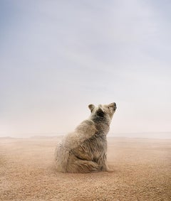 Alice Zilberberg - Being Here Bear, photographie 2024, imprimée d'après