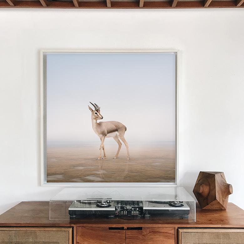 Alice Zilberberg - Don't Worry Deer, Fotografia 2024, Stampato Dopo in vendita 1