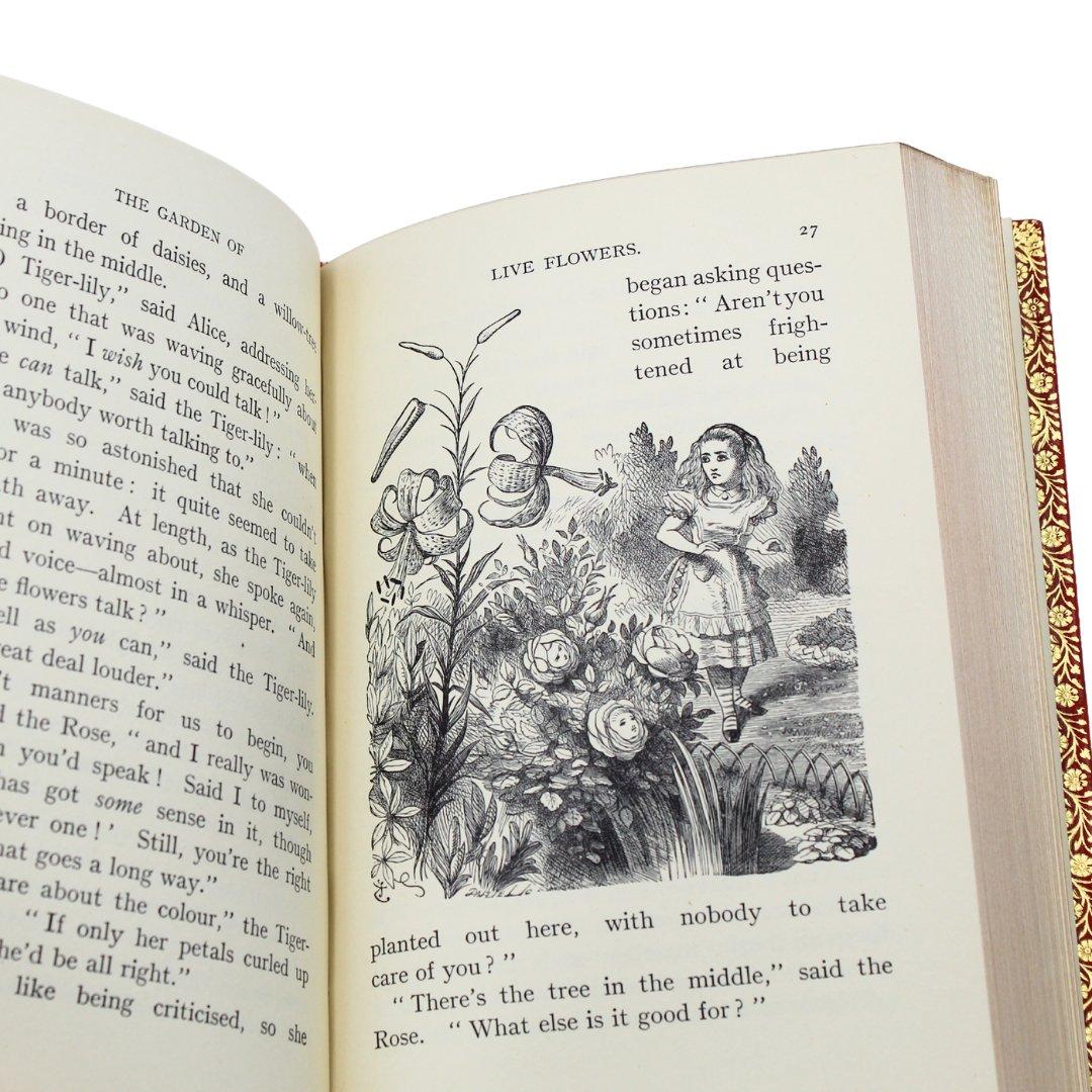 Cuir Les aventures d'Alice au pays des merveilles et à travers le regard de Lewis Carroll en vente