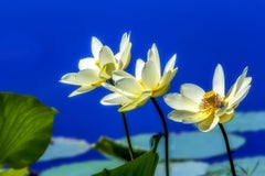 Happy Trio, photographie, jet d'encre d'art