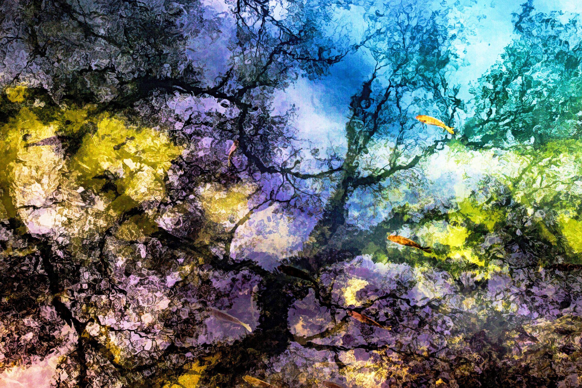 Alicia Pastiran Color Photograph – Radium-Springs-Reflexion, Fotografie, Archivtinte- Jet