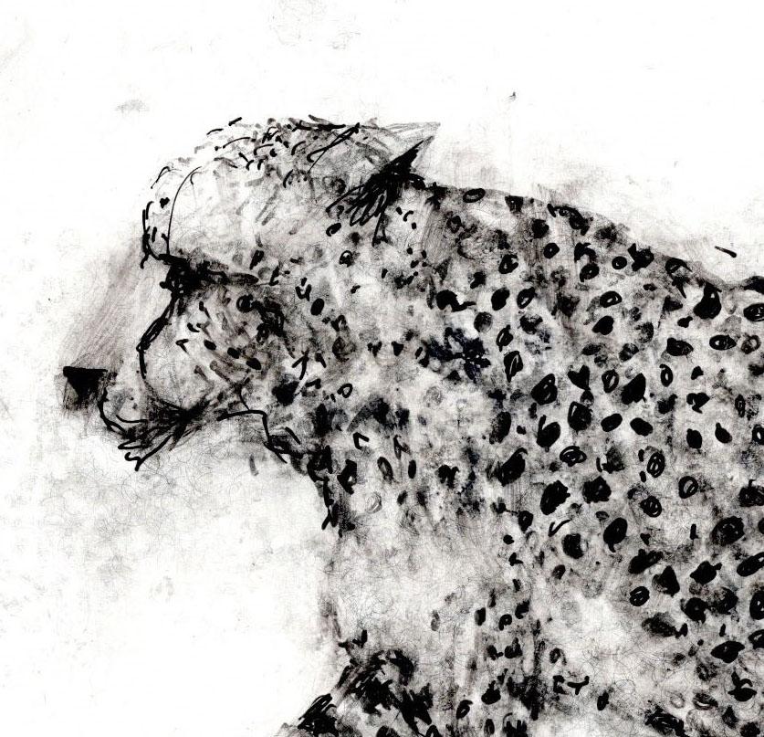 Cheetah - Painting by Alicia Rothman