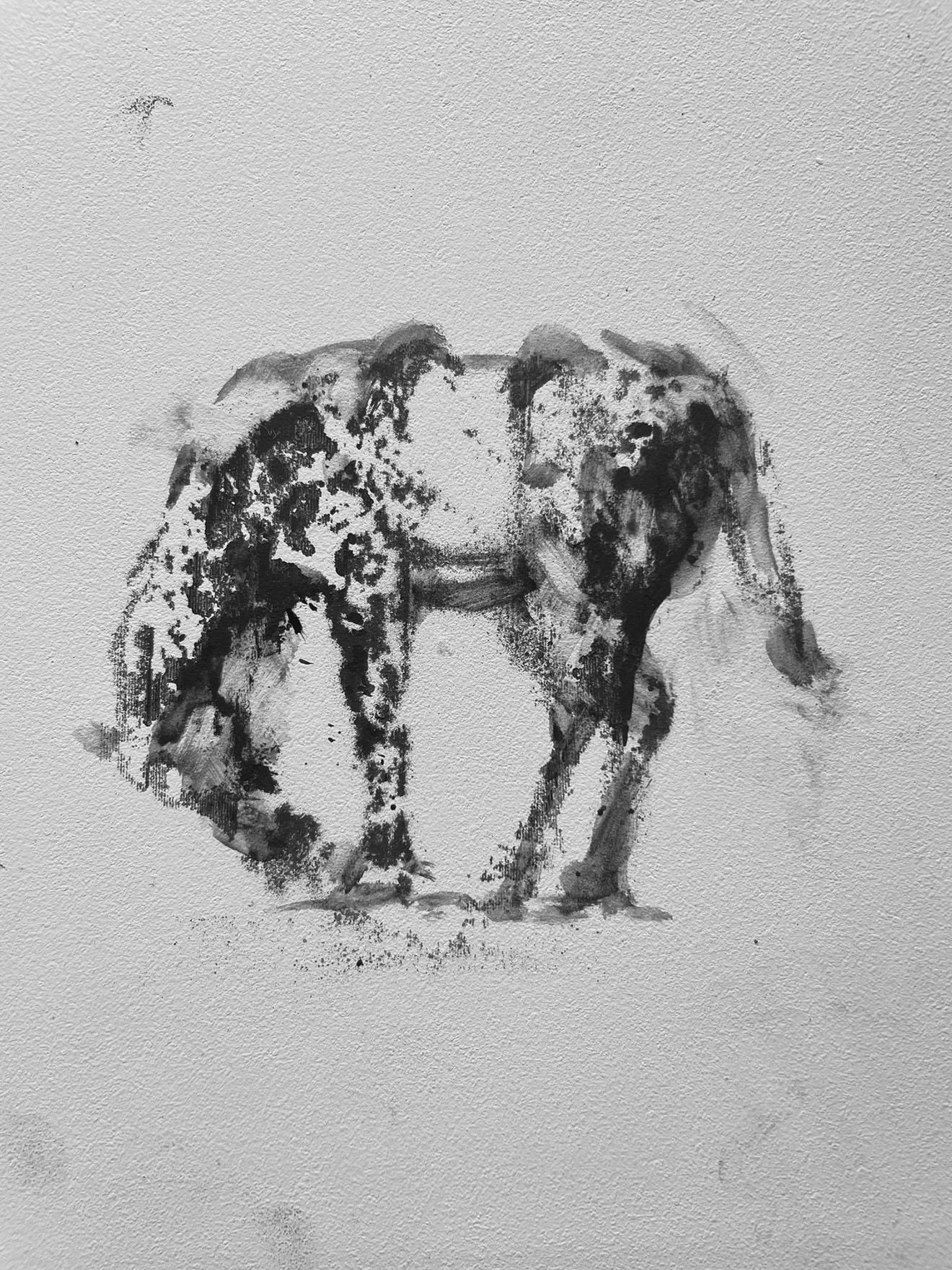 Alicia Rothman Animal Painting - Stoli