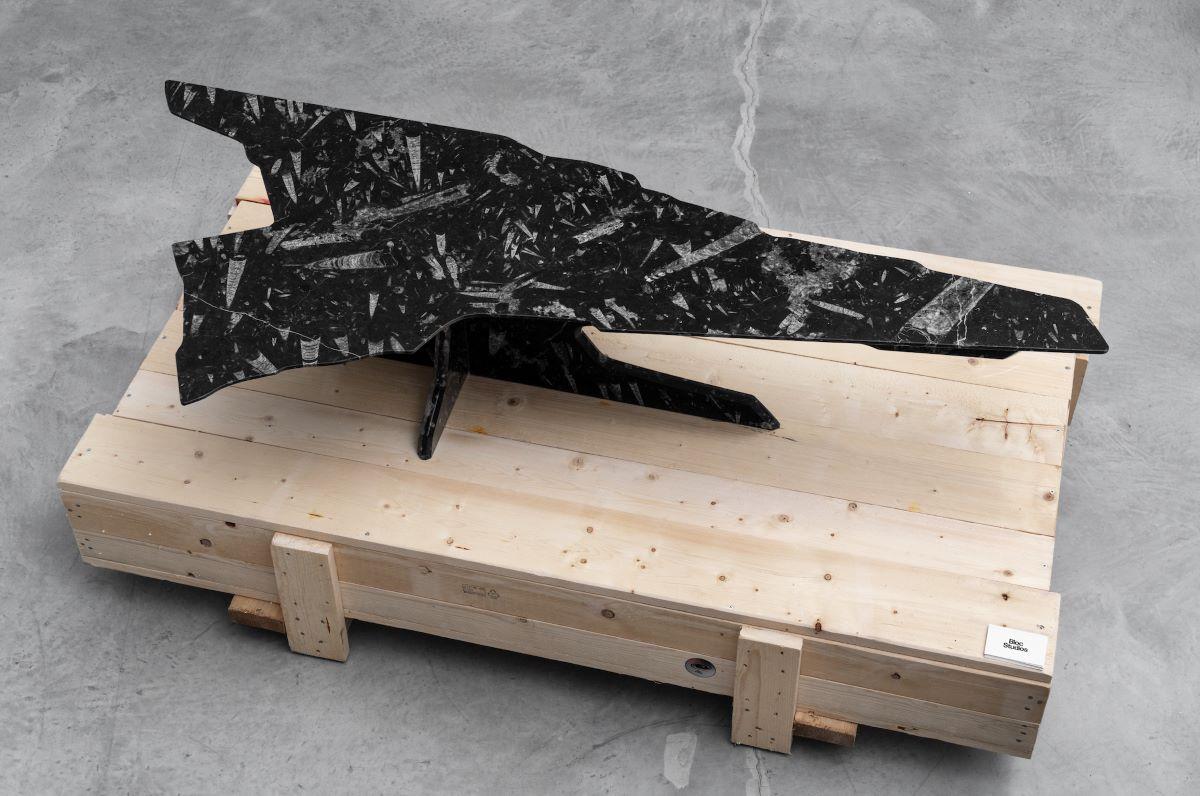 Italian Table basse en marbre noir Alien Debris Fossil en vente