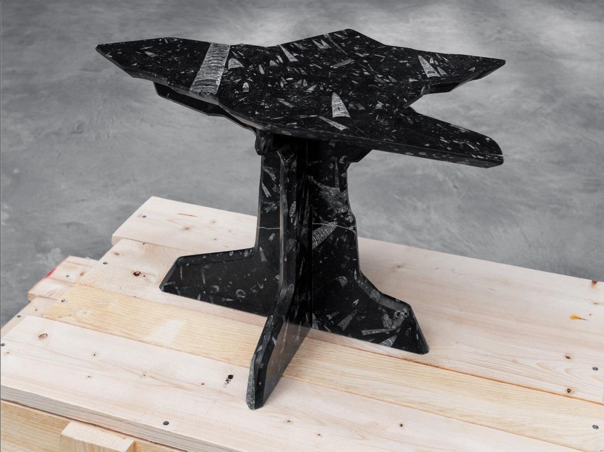 Alien Debris- Design by Koos Breen - Edited by Bloc Studios
Marble limited edition series, consists of 2 tables in black fossil marble: 1 side table and 1 coffee table.
The chosen material is Black Fossil, a precious material that comes from North