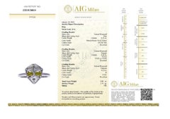 Alien Design 18K White Gold Diamond Ring 0.84 Ct Natural Diamonds, AIG Cert