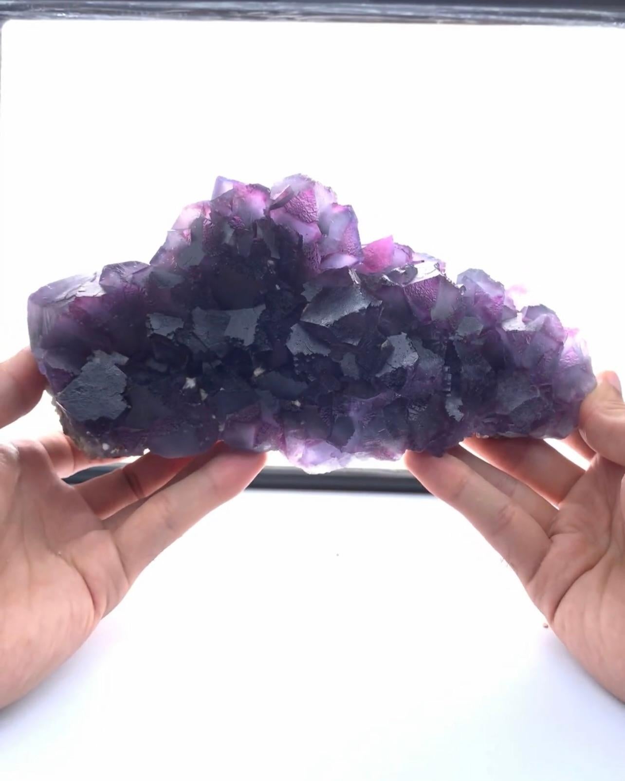 Product Information:

Specimen: Fluorite Cluster

Weight: 2065 grams

Dimensions: H: 9.7 x W: 23 x D: 11.5 cm

Origin: Loralai District, Baluchistan Province, Pakistan 

Treatment: None

Description:

This stunning Alien Eye Purple Fluorite Crystal