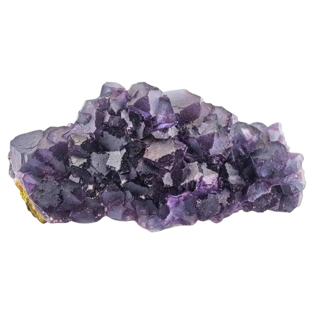 Cluster di cristalli di fluorite viola occhio di alieno su Matrix dal Pakistan
