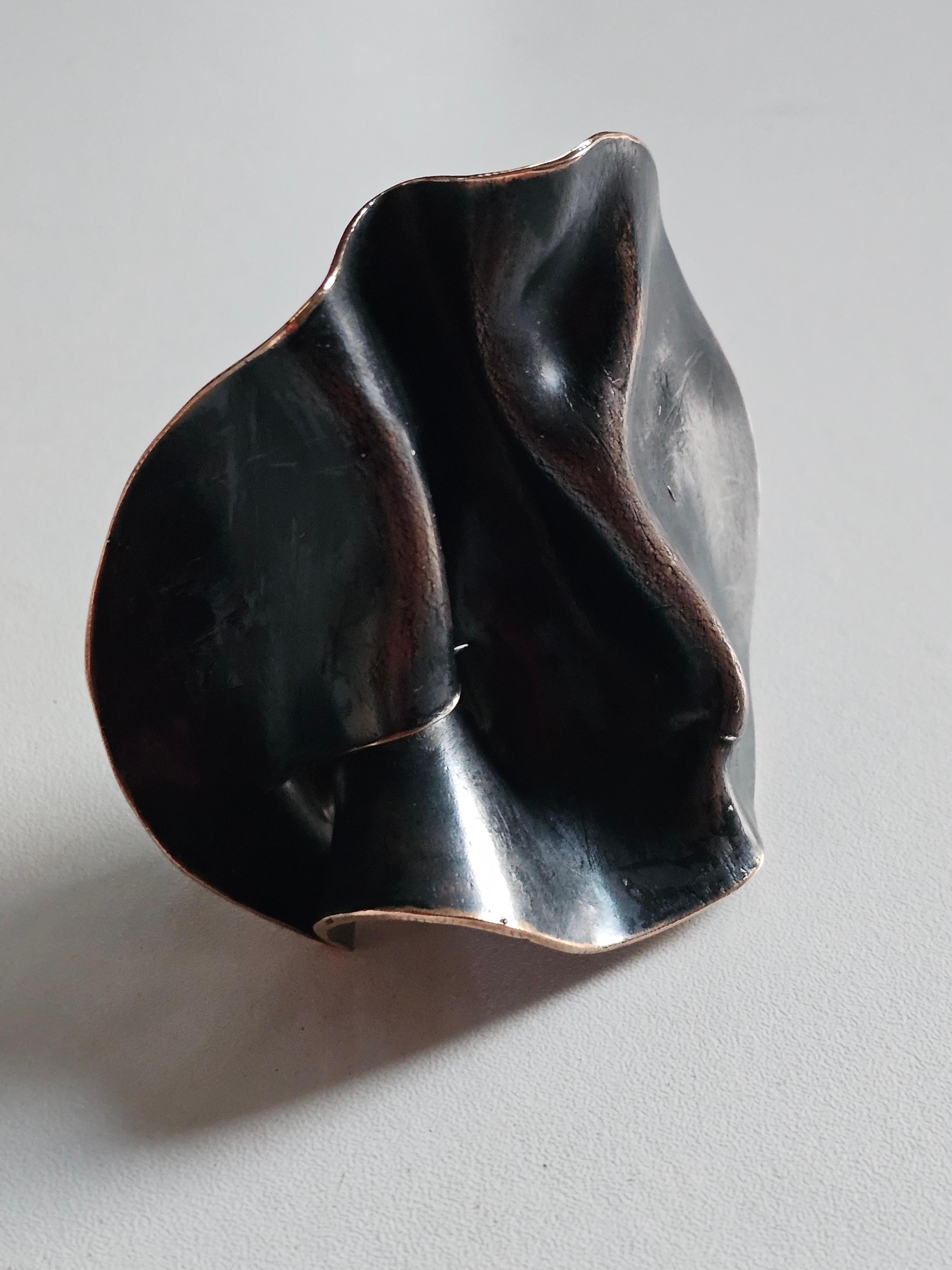 Alina Alamorean Veins of Love Sculptural Contemporary Ring Black Bronze For Sale 4
