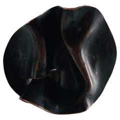 Alina Alamorean Venas de Amor Anillo Escultórico Contemporáneo Bronce Negro