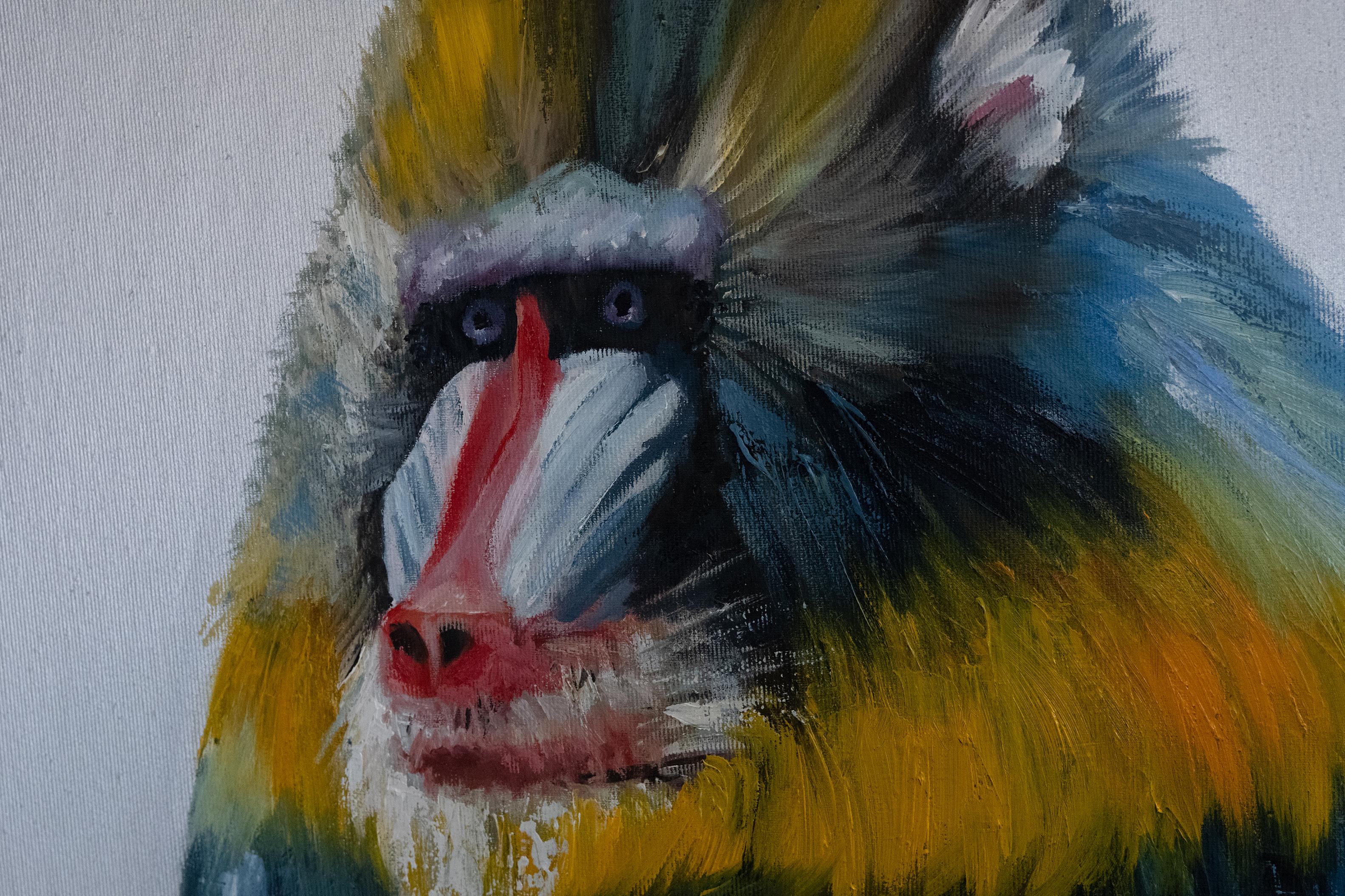 Geliefert in ROLL
Der Mandrill ist ein unglaublicher, großer Altweltaffe, der in Westafrika beheimatet ist. Bekannt für seine auffallend leuchtenden Farben, ist er eines der farbenprächtigsten Tiere der Welt. Die leuchtenden, kräftigen Farbtöne