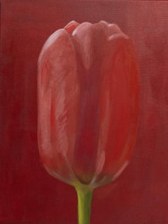 Tulipano rosso . quadro originale