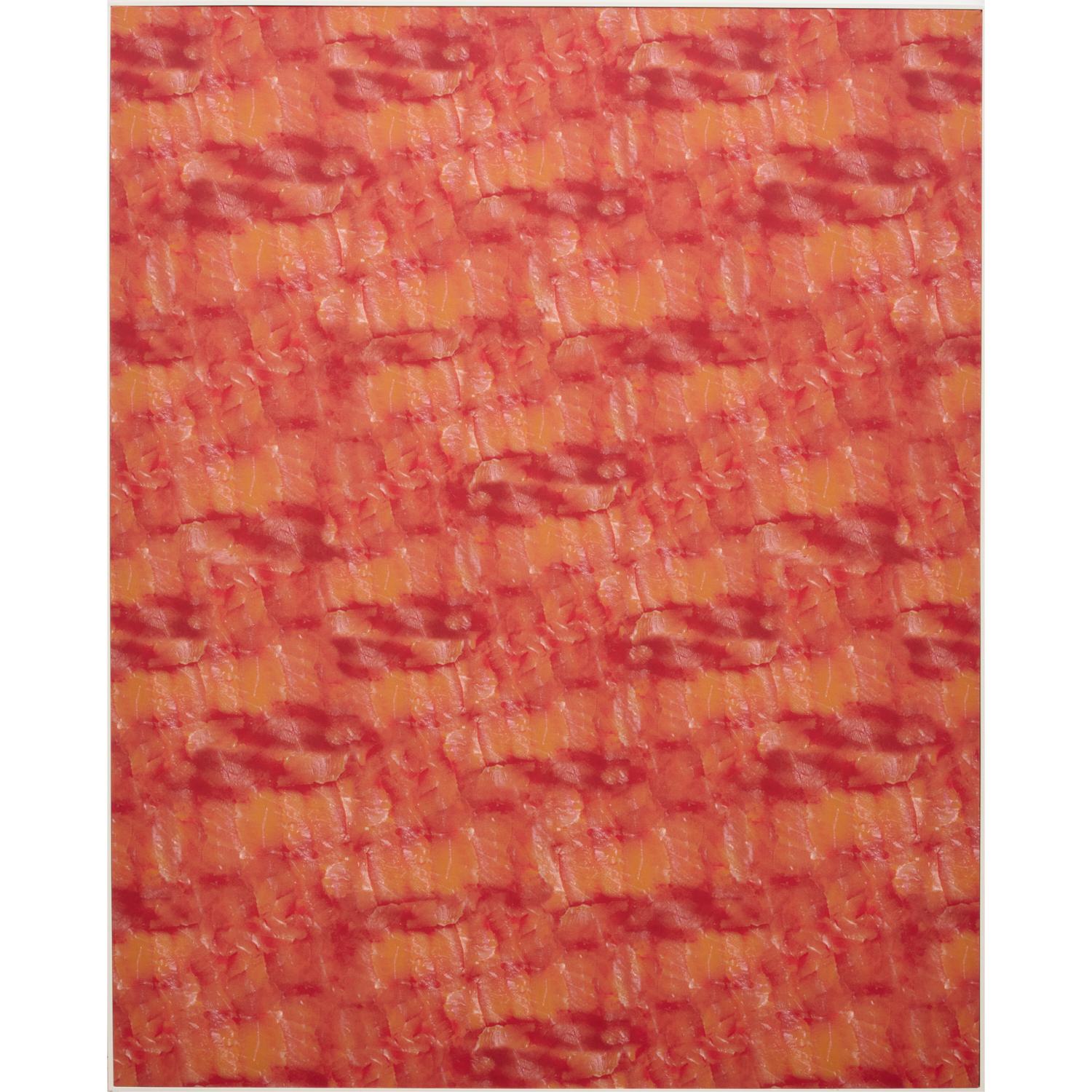 A striking contemporary artwork by Russian-born American artist Alisa Baremboym (b. 1982), titled Untitled (Lox), 2010. Executed in archival pigment inks on cotton, this large-format work presents a vivid, repeating surface that suggests slices of