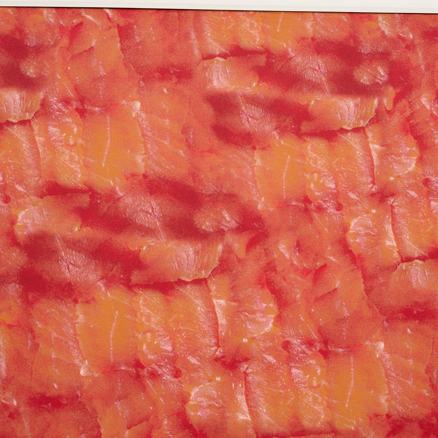 American Alisa Baremboym, “Untitled (Lox)” - Archival Pigment Print on Cotton, 2010 For Sale
