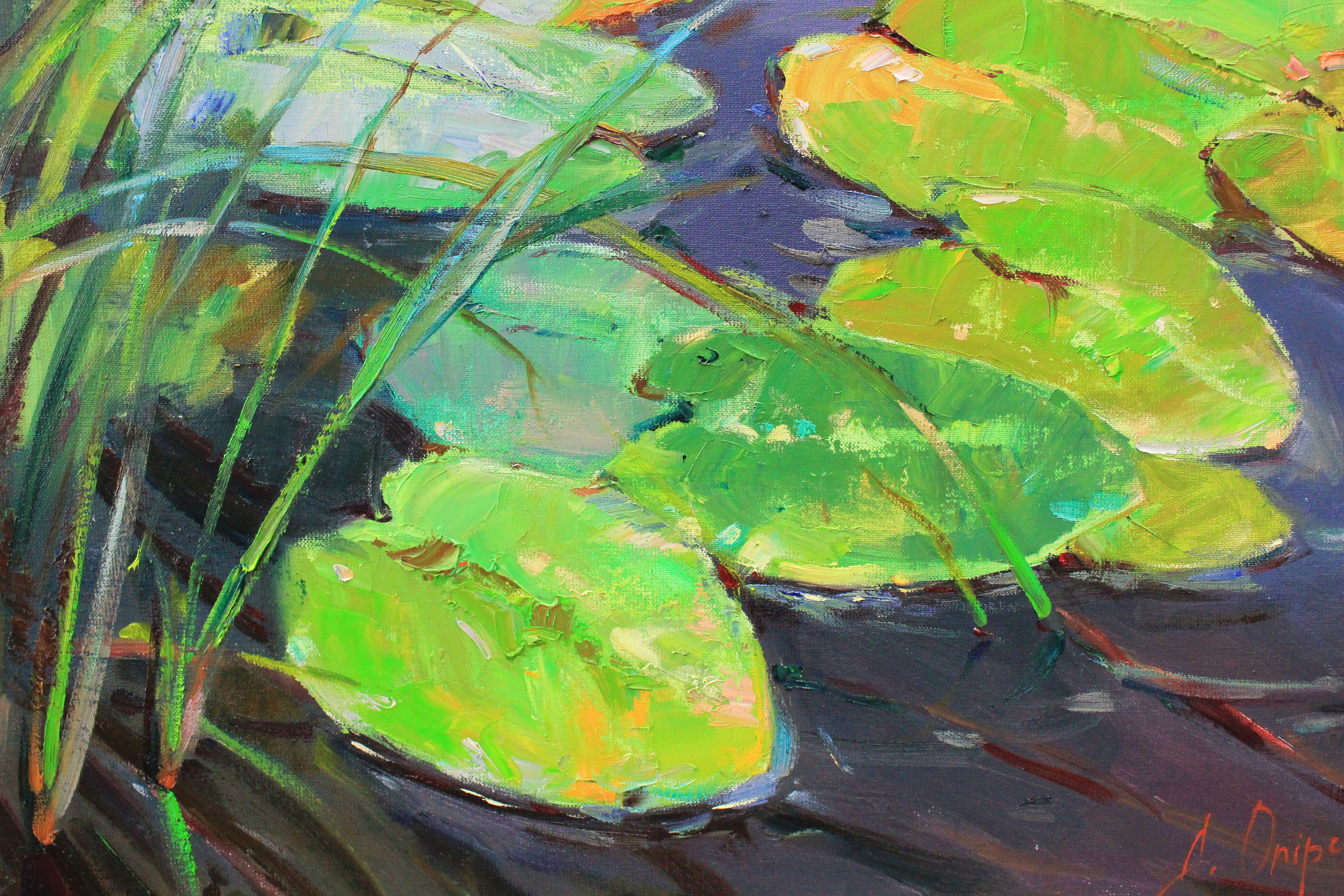 Original Oil painting by Ukrainian artist Alisa Onipchenko  Summer landscape with a river and water lilies with bright contrasting lighting. Artwork in the style of Impressionism, Expressionism conveys the warmth of a summer day. Plein air painting