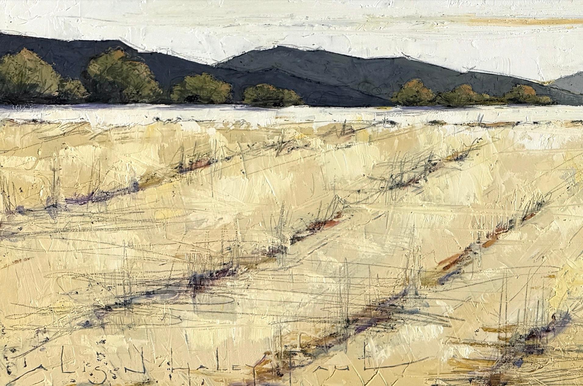 Alison Haley Paul es una pintora contemporánea de paisajes profusamente texturizados y llenos de matices de color. Su obra evoca connotaciones y recuerdos geográficos: aquel verano que pasaste en la playa, el árbol donde ibas a pensar, el camino que