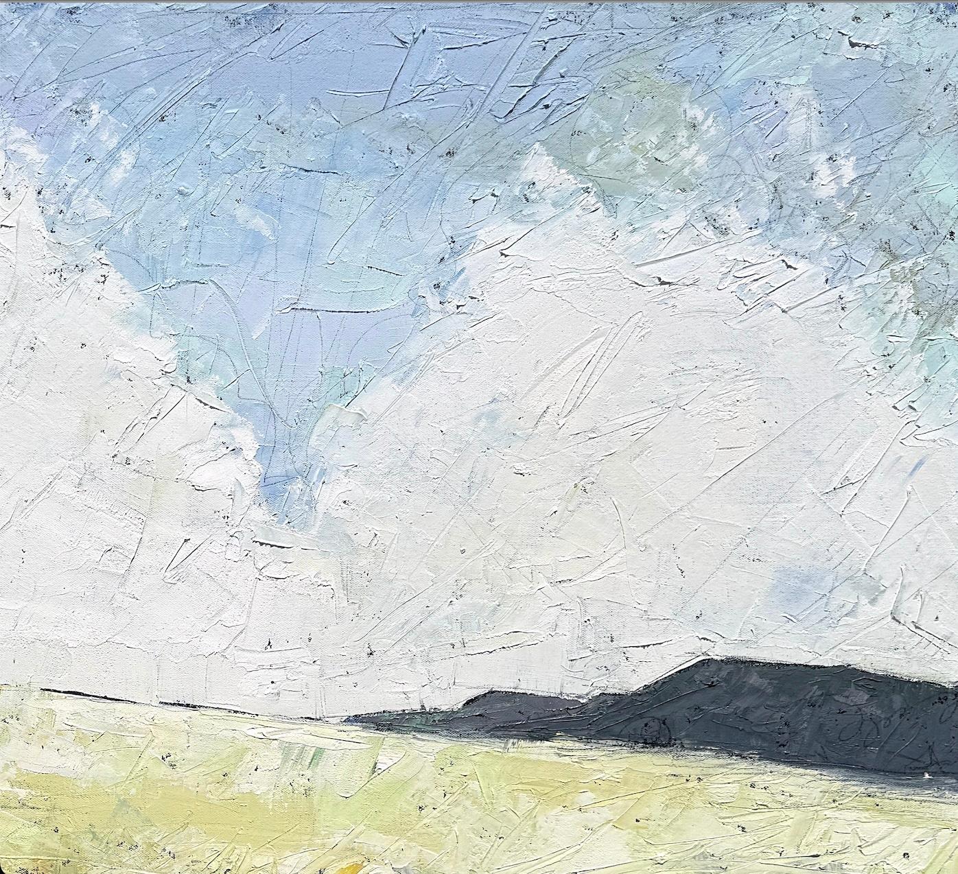 Alison Haley Paul è una pittrice contemporanea di paesaggi riccamente strutturati e pieni di sfumature di colore. Le sue opere evocano connotazioni e ricordi geografici: l'estate trascorsa in spiaggia, l'albero dove andavi a pensare, il sentiero