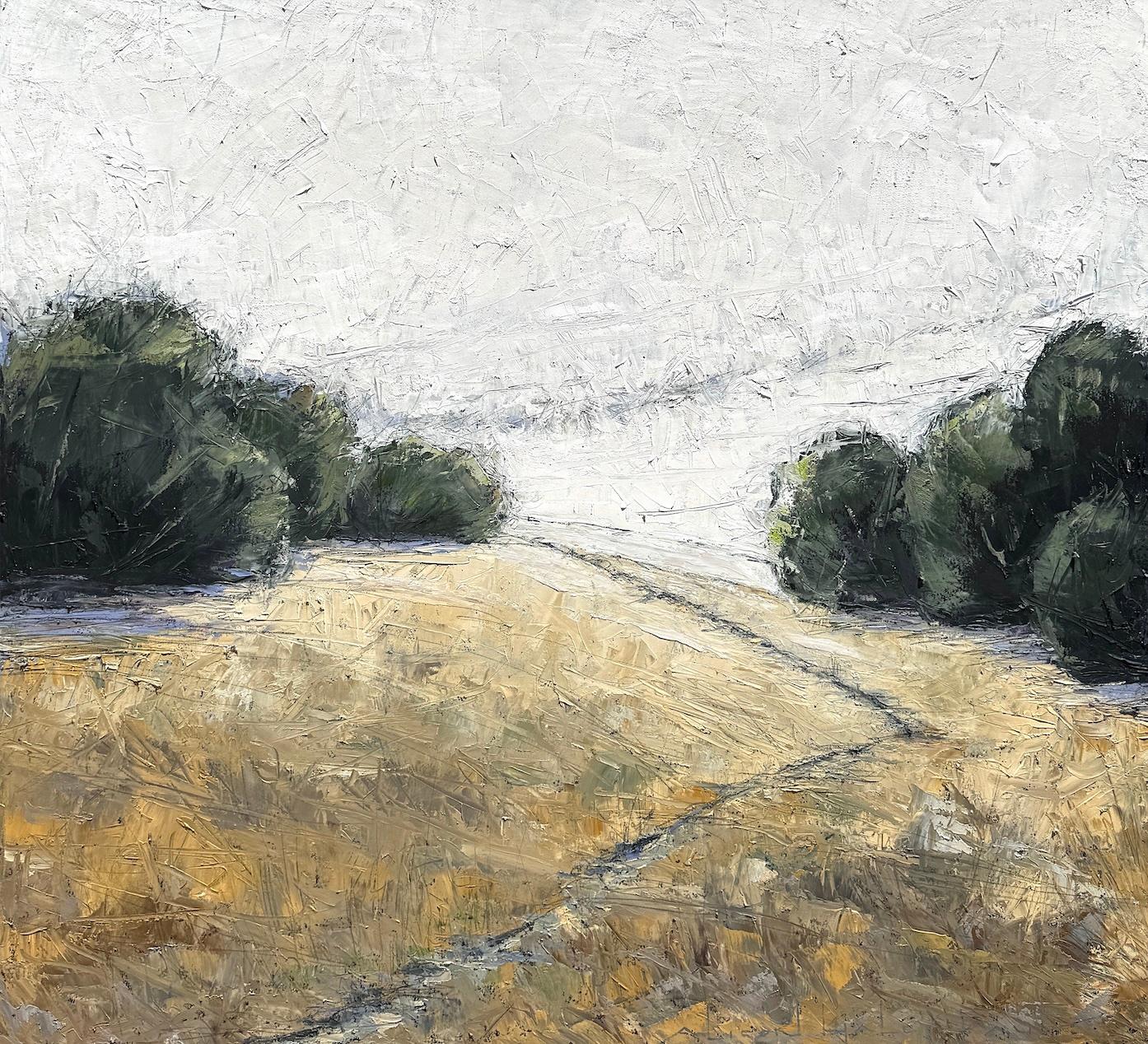Alison Haley Paul es una pintora contemporánea de paisajes profusamente texturizados y llenos de matices de color. Su obra evoca connotaciones y recuerdos geográficos: aquel verano que pasaste en la playa, el árbol donde ibas a pensar, el camino que
