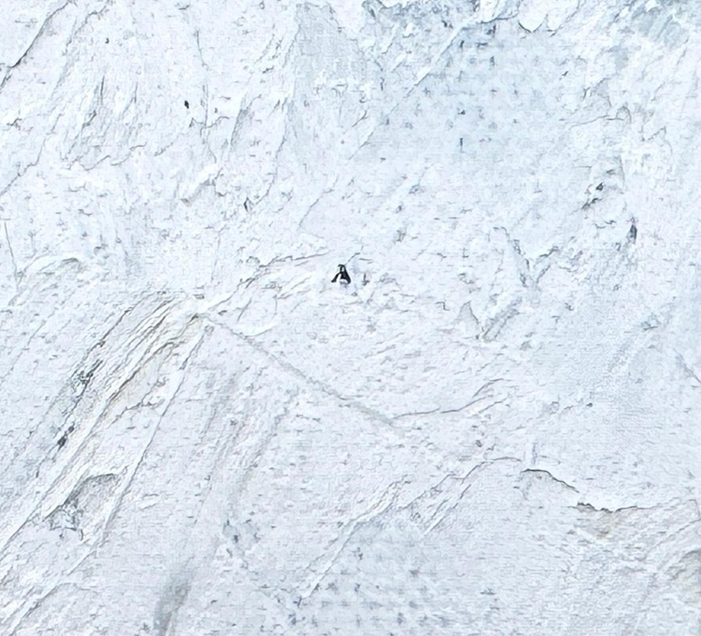 Glimpse #258 in vendita 3