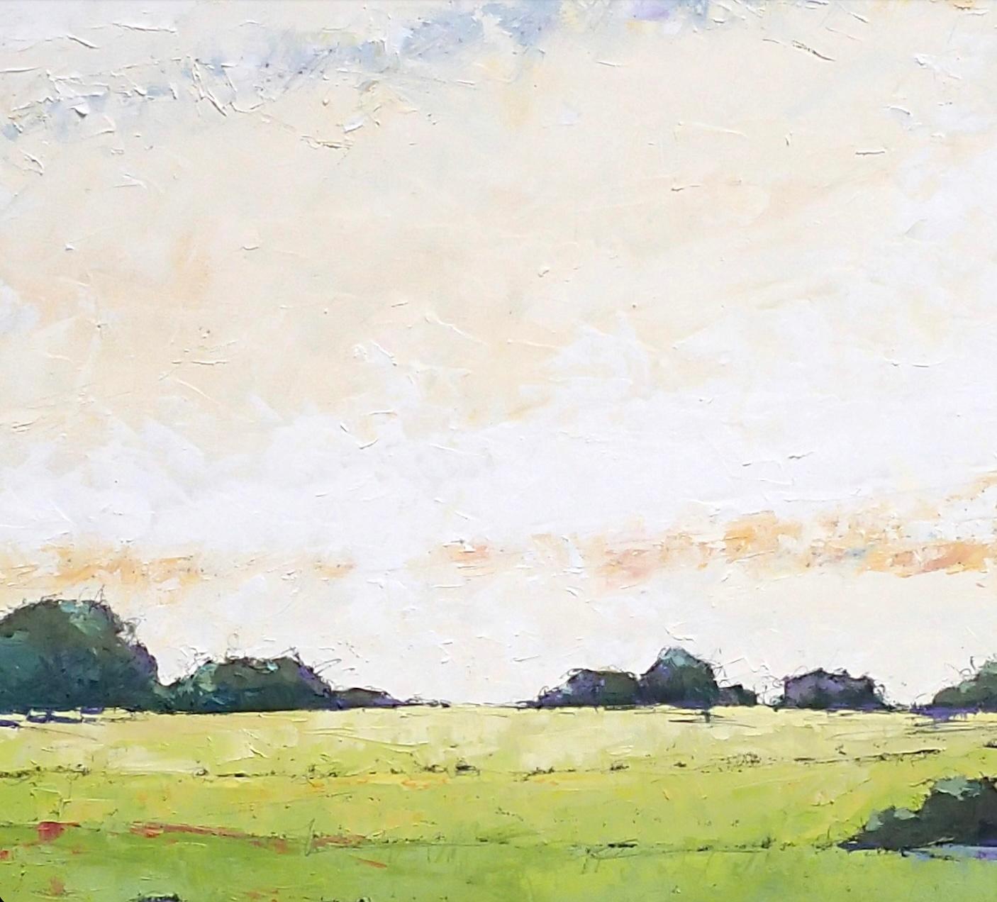 Óleo, cera, pigmento, carboncillo y grafito sobre lienzo

Alison Haley Paul es una pintora contemporánea de paisajes profusamente texturizados y llenos de matices de color. Su obra evoca connotaciones y recuerdos geográficos: aquel verano que