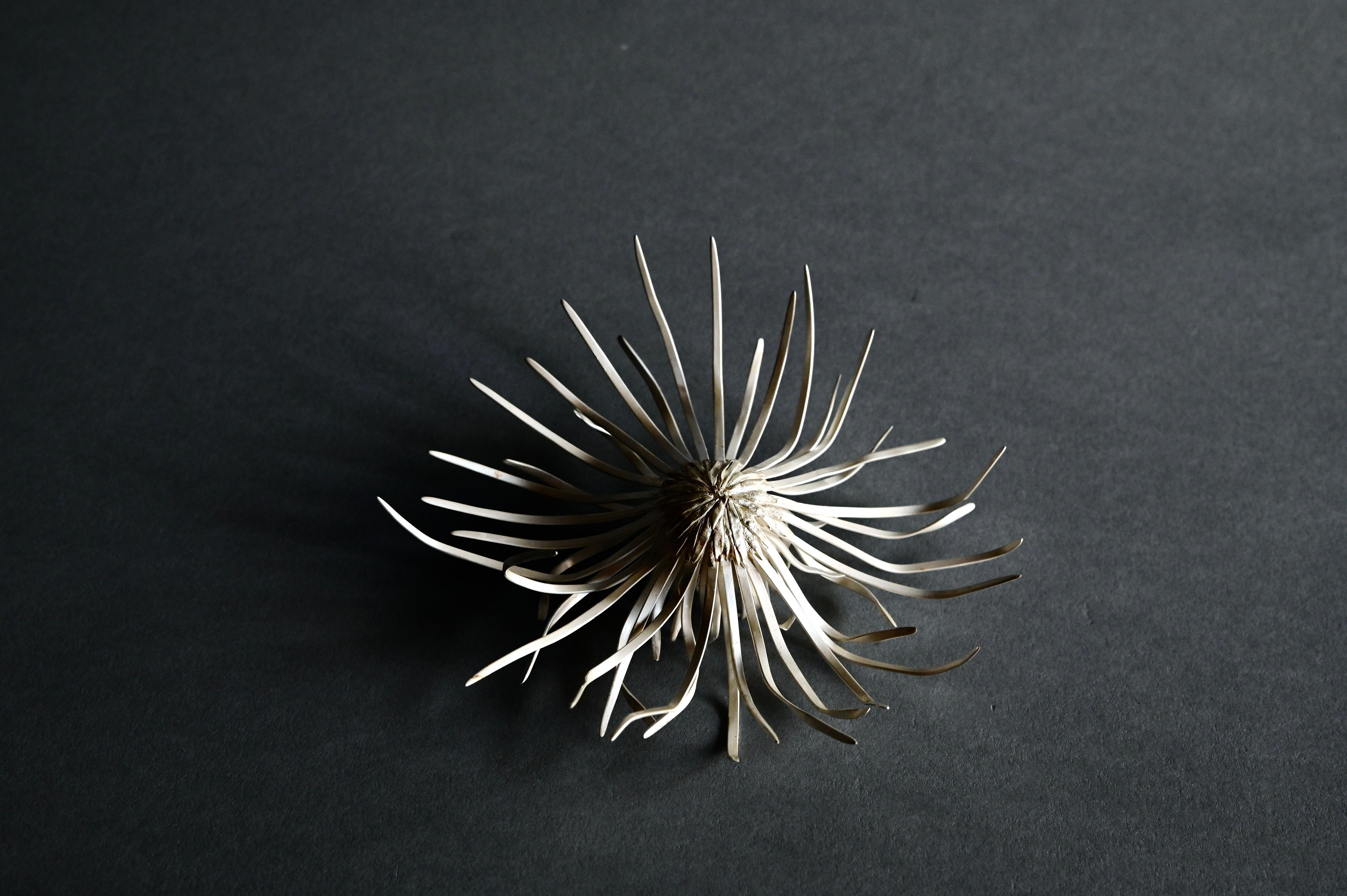 Chrysanthemum morifoliium v - American Modern Sculpture by Alison Layton 