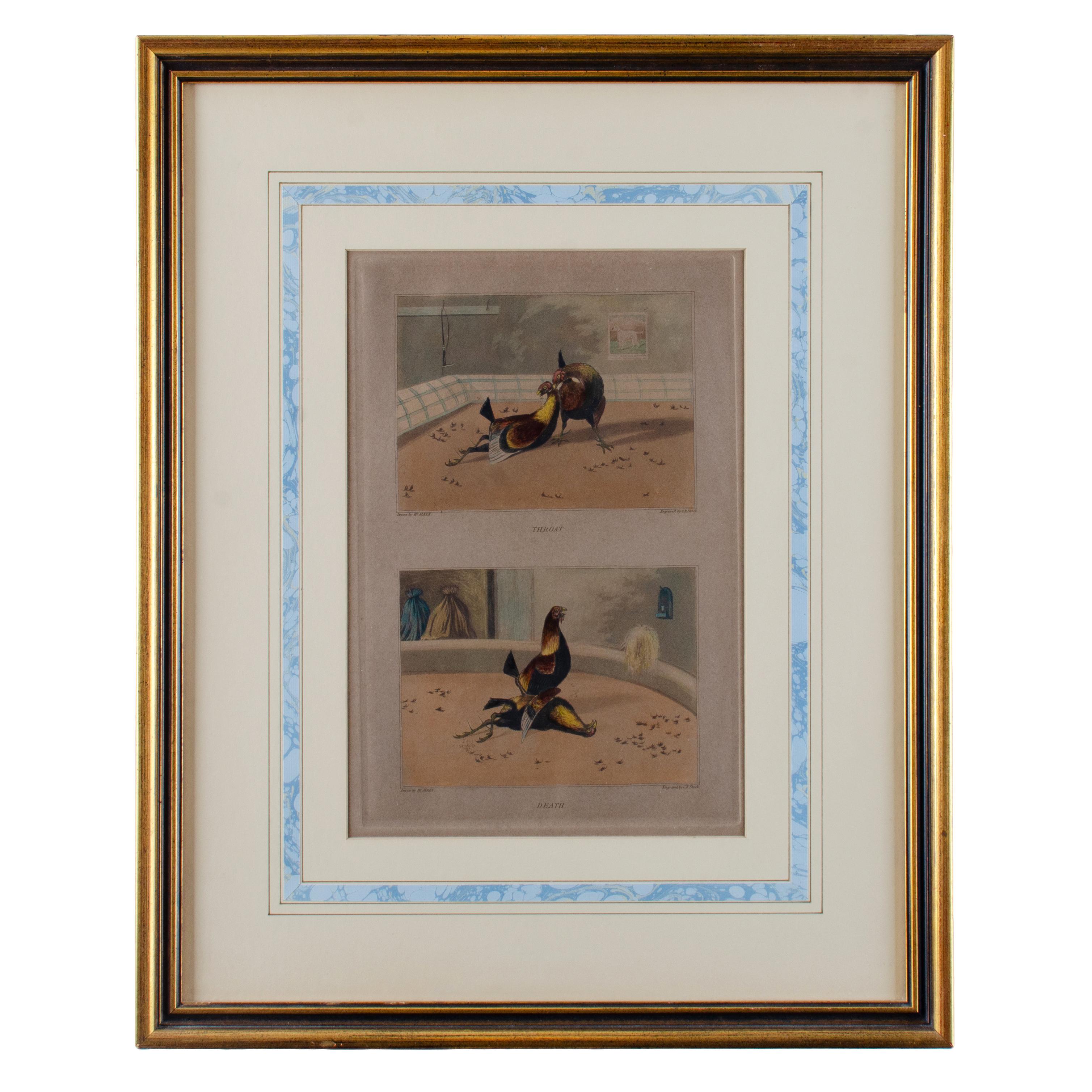 Alken Cockfight Prints, 19th Century In Good Condition For Sale In Savannah, GA
