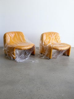 Alky Stühle von Giancarlo Piretti für Anonima Castelli, 1960er Jahre