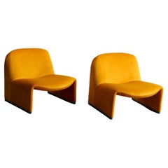 Alky Chairs by Giancarlo Piretti for Anonima Castelli 1960s