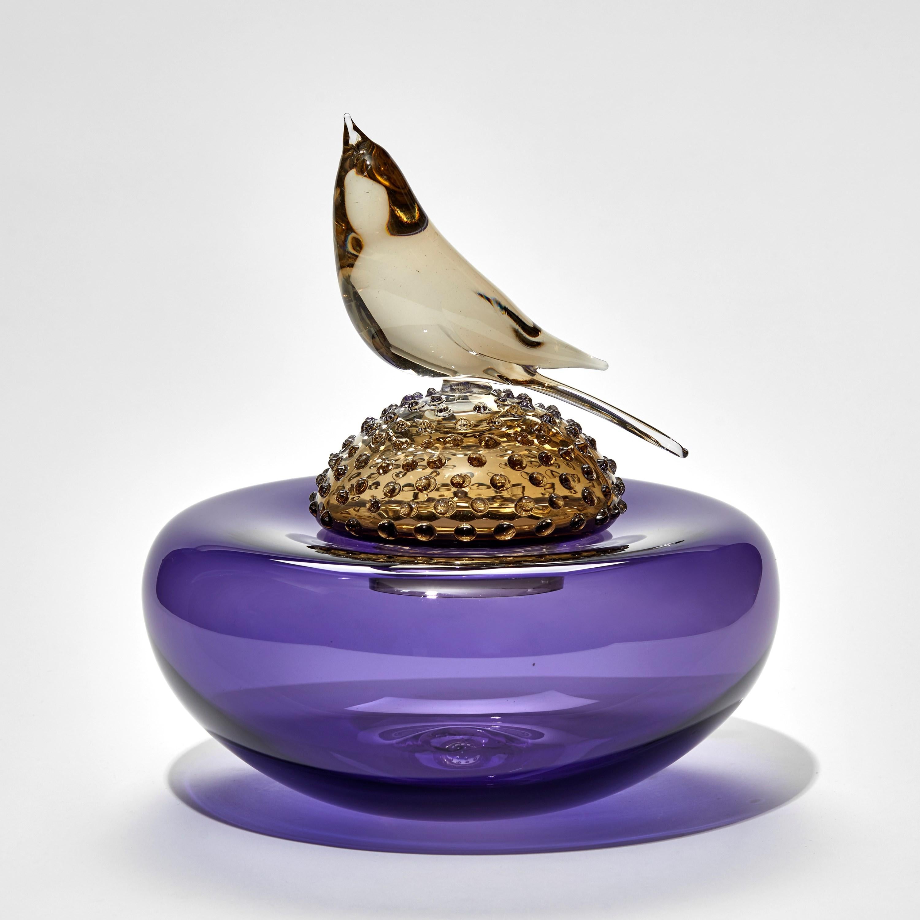 All About Birds IV, is a hand-blown art glass vase/bowl in purple adorned with a hot sculpted bird by the Scottish artist, Julie Johnson. The bird figurine can also be lifted off with the main body leaving a functioning vessel.

About the
