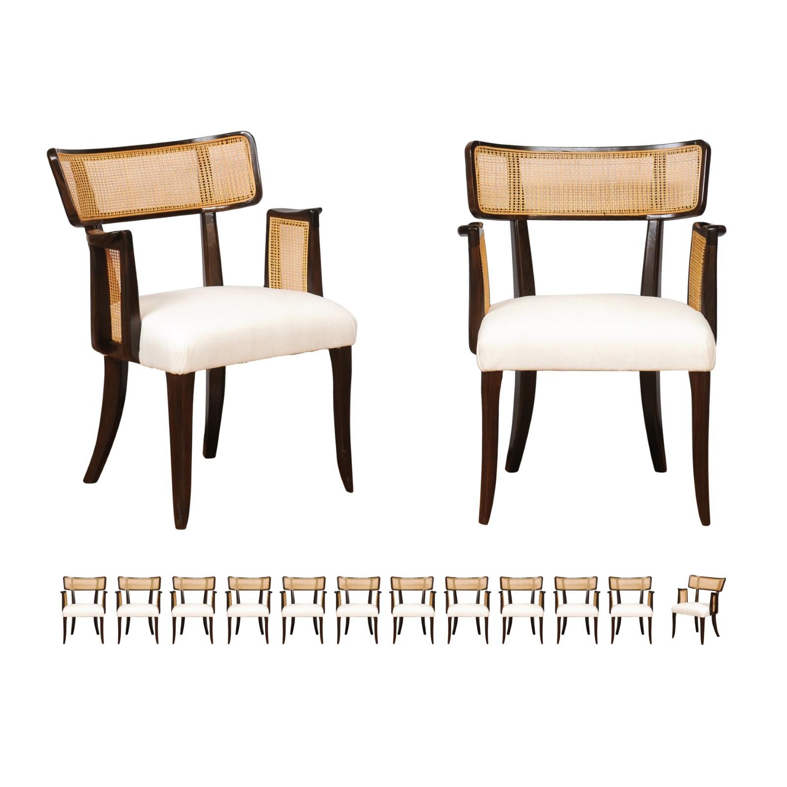 All Arms- Miraculous Set of 14 Arm Klismos Cane Dining Chairs by Edward Wormley For Sale 10