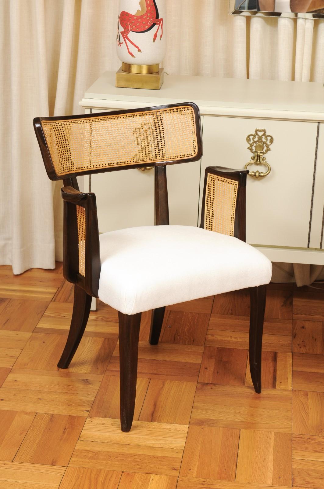 Mid-Century moderno All Arms- Miracoloso set di 14 sedie da pranzo con bracci in canna di Klismos di Edward Wormley in vendita