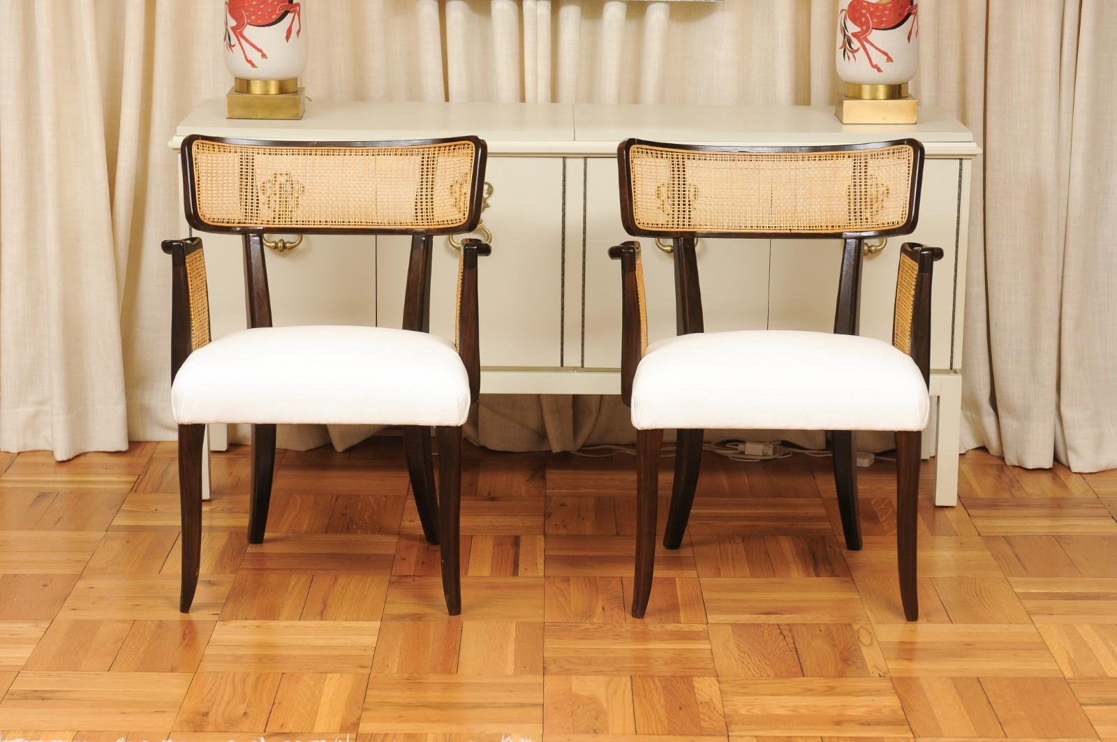 All Arms- Miraculous Set of 14 Arm Klismos Cane Dining Chairs by Edward Wormley In Excellent Condition For Sale In Atlanta, GA