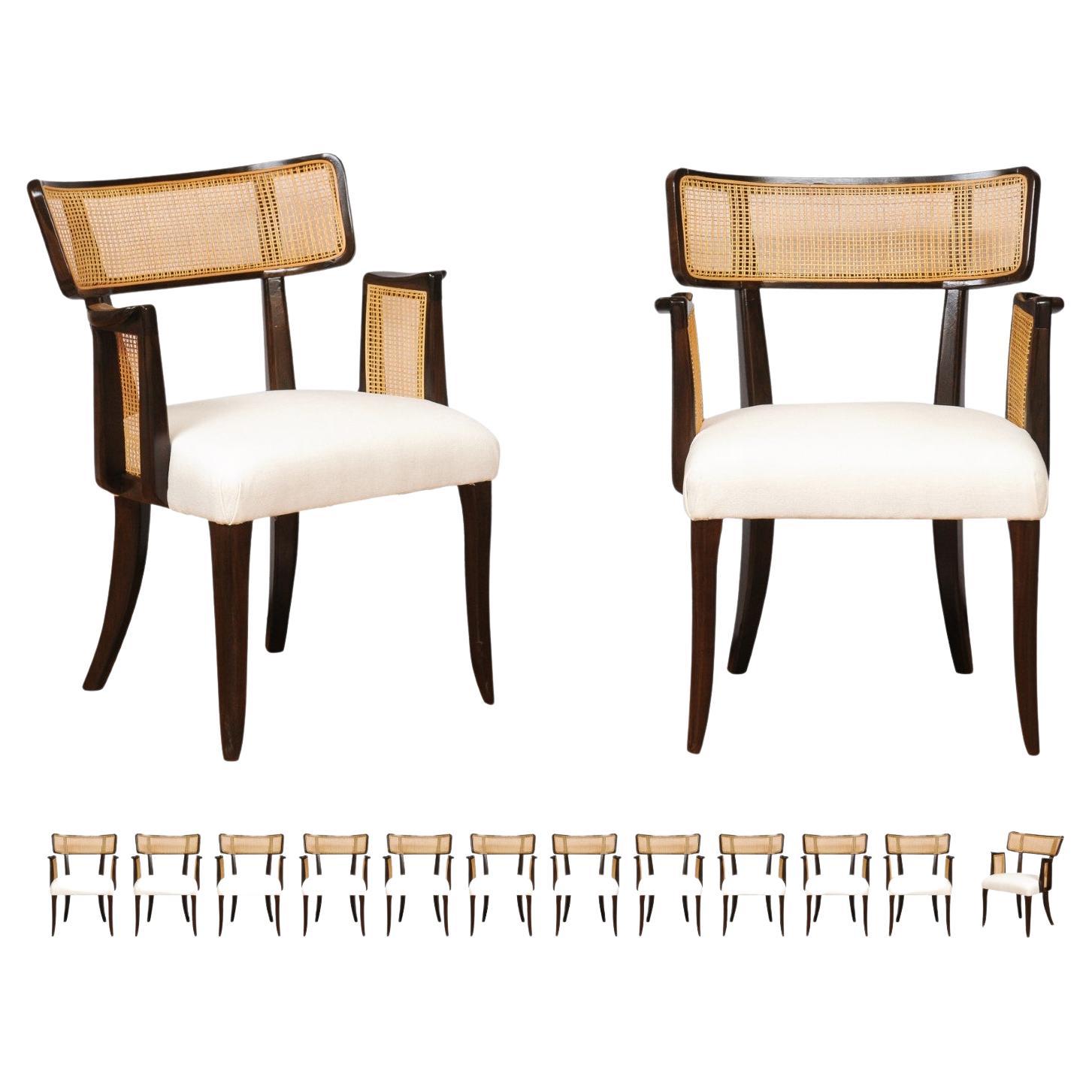 All Arms- Miraculous Set of 14 Arm Klismos Cane Dining Chairs by Edward Wormley For Sale