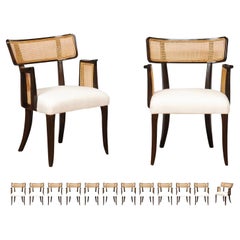 All Arms- Miraculous Set of 14 Arm Klismos Cane Dining Chairs by Edward Wormley