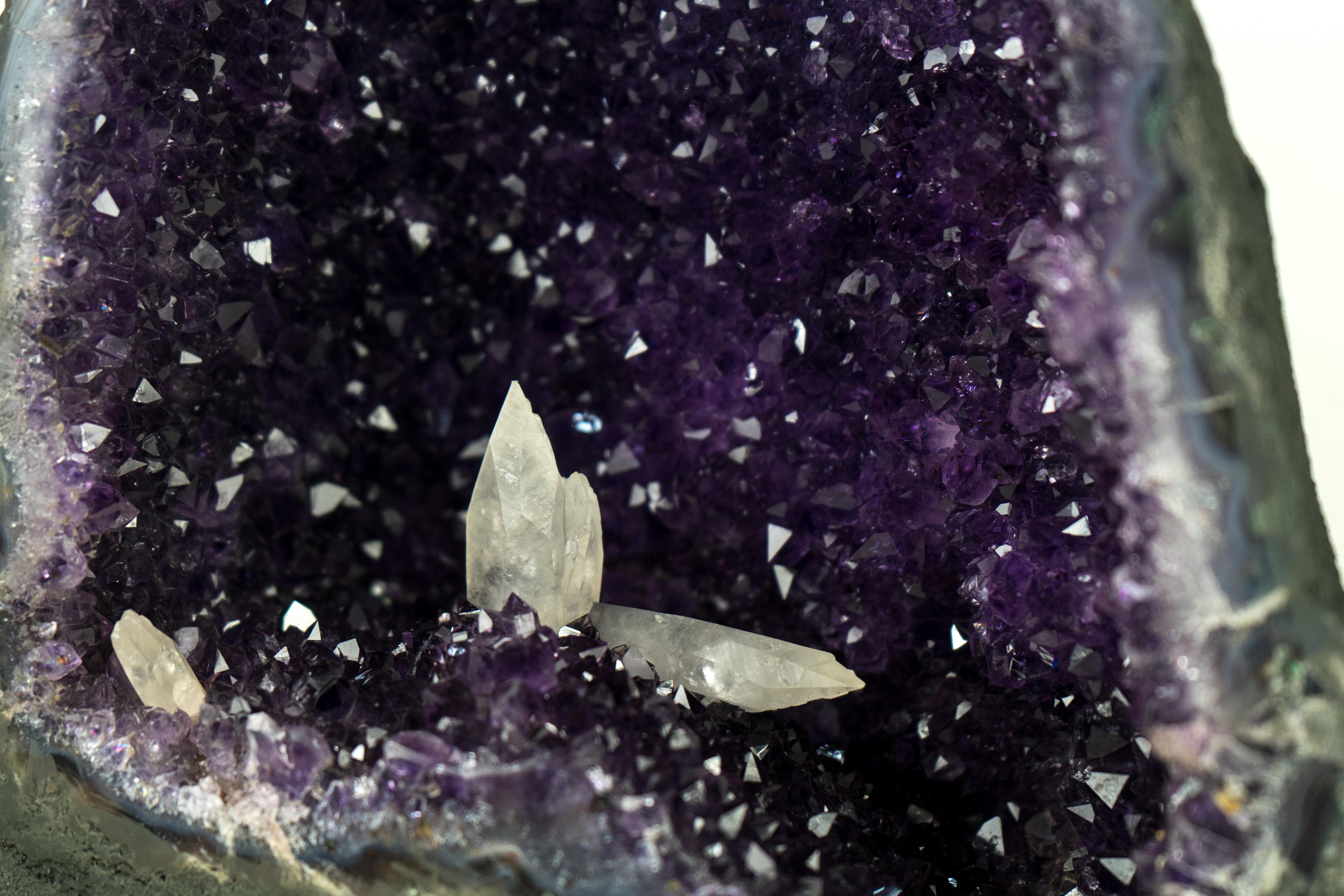 All-Natural Amethyst Geodes with Intact Calcite and Rich Purple Galaxy Amethyst  4