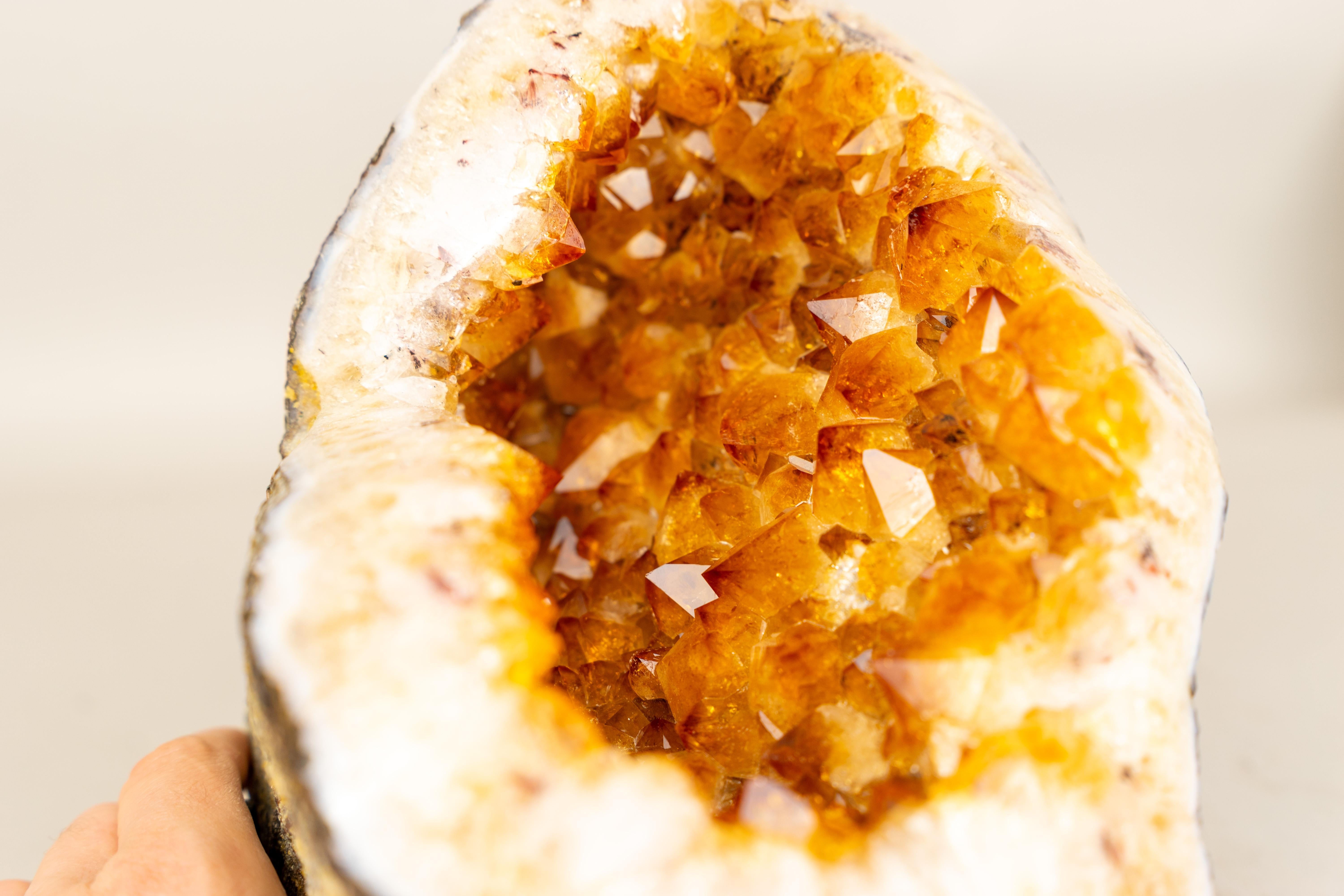 All-Natural Citrine Geode Cave with Golden Orange Citrine Points In New Condition For Sale In Ametista Do Sul, BR