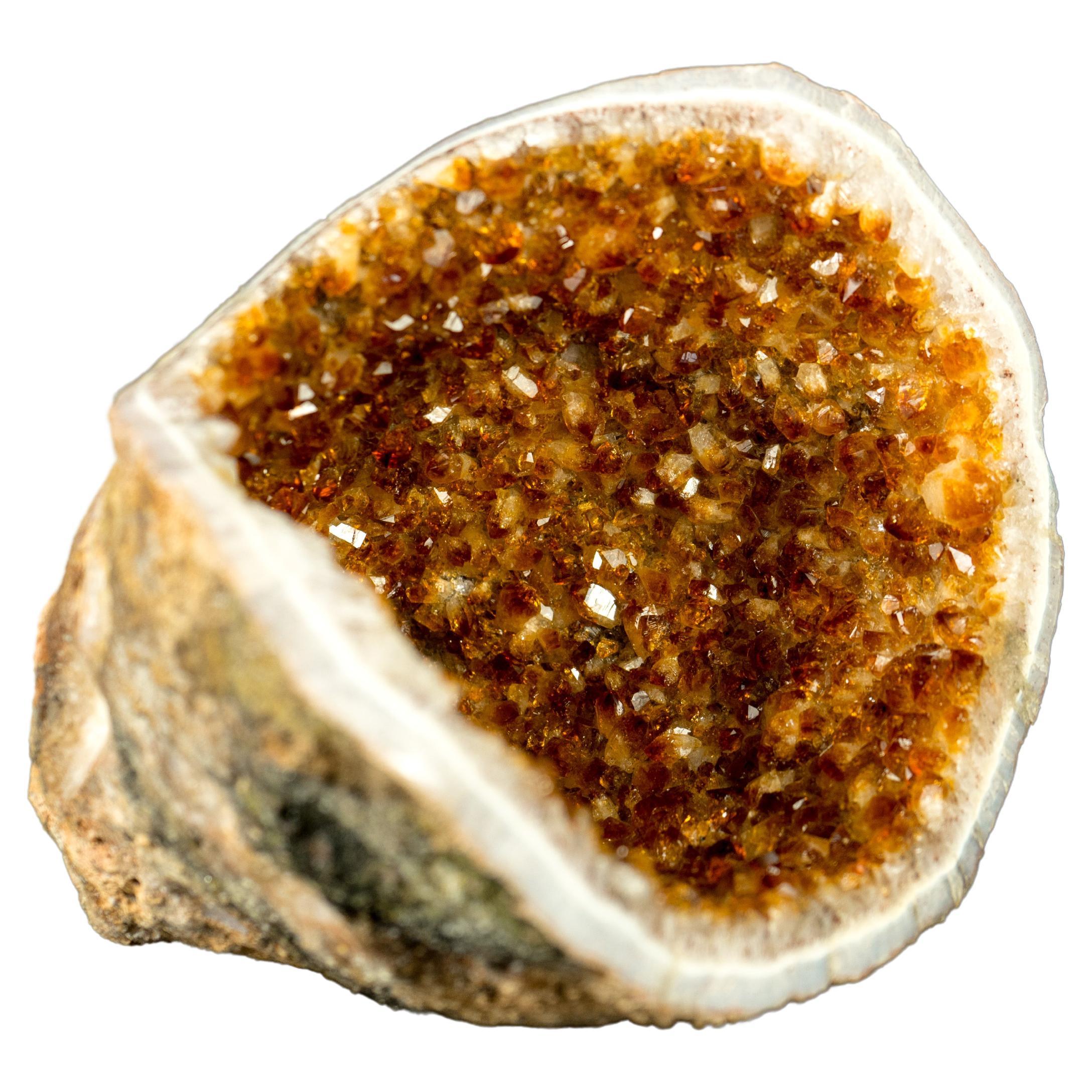 AllNatural Citrin Geode Cave mit hochgrauem, goldenem, orangefarbenem und orangefarbenem Citrin Druzy im Angebot
