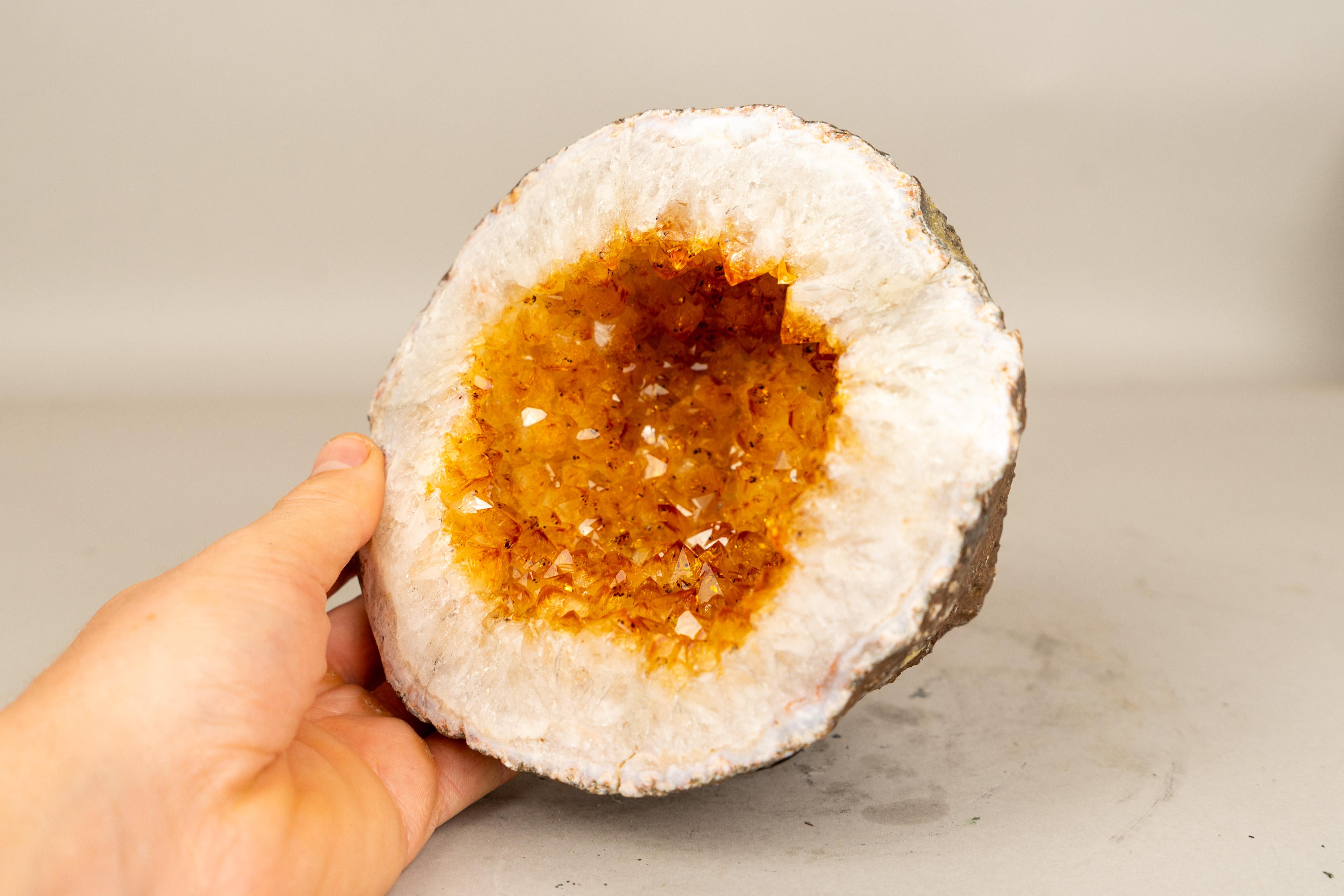 Small Citrine Geode Cave with Orange Citrine Druzy

▫️ Description

With its sparkling orange citrine points encased in a natural, cave-like form, this citrine geode is a gorgeous small specimen that displays exceptional beauty. Small yet