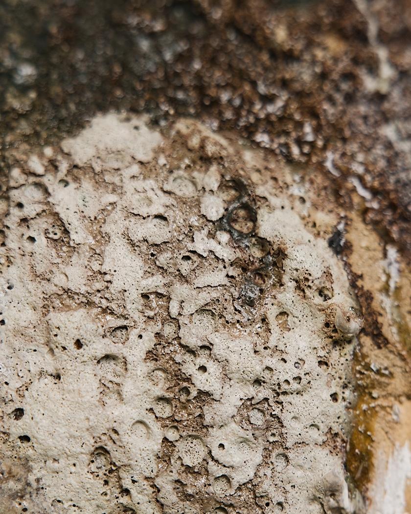 Tutto Nature Vaso biologico 8