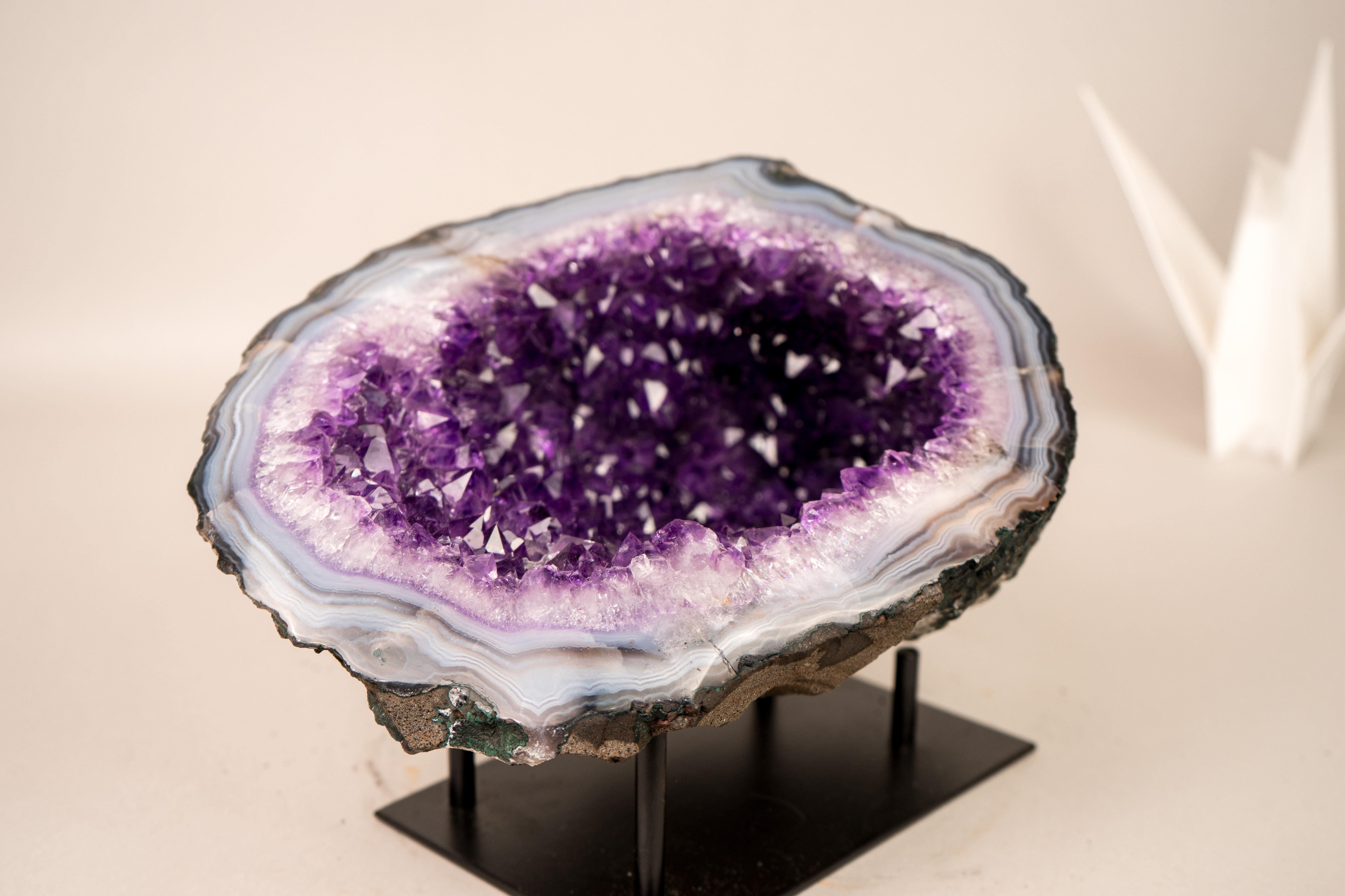 All-Natural Purple Amethyst Geode Framed by Polished Blue Lace Agate For Sale 5