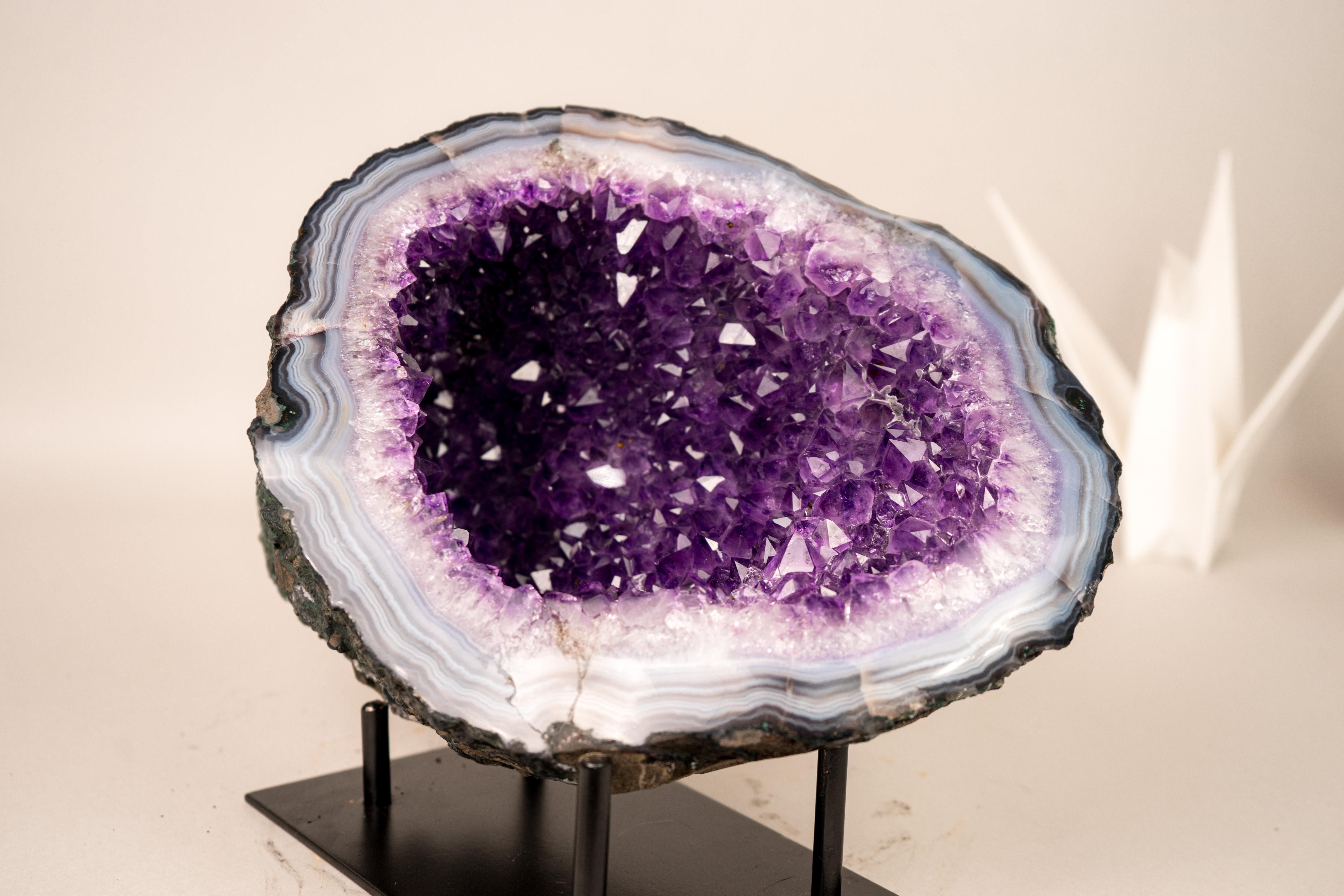 All-Natural Purple Amethyst Geode Framed by Polished Blue Lace Agate In New Condition For Sale In Ametista Do Sul, BR